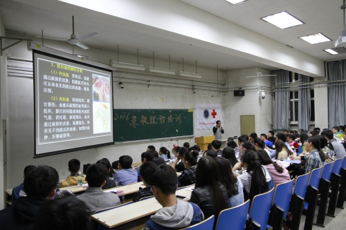 理论培训现场