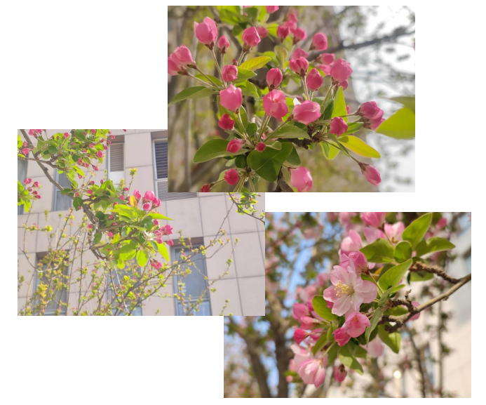 816147c07f1355bc565b3299e88ae08