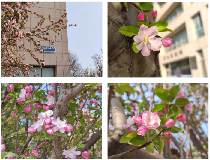 66e2dadbec97356e0fd913af2d89252