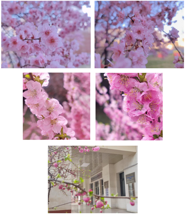 e59b8c118cacd2160d2aa91ad1ed9ff