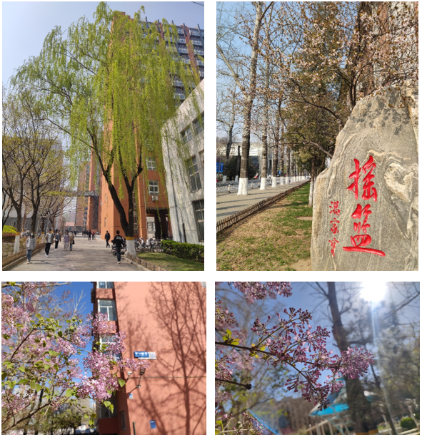 e1b043e00df94e339b058a37f809f13