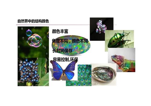 11光子晶体及其应用-17