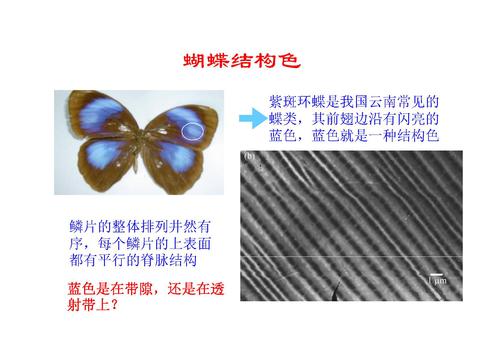 11光子晶体及其应用-18